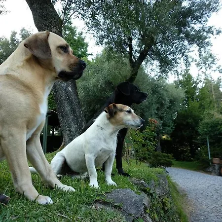 Casa Castel'rei Guimarães