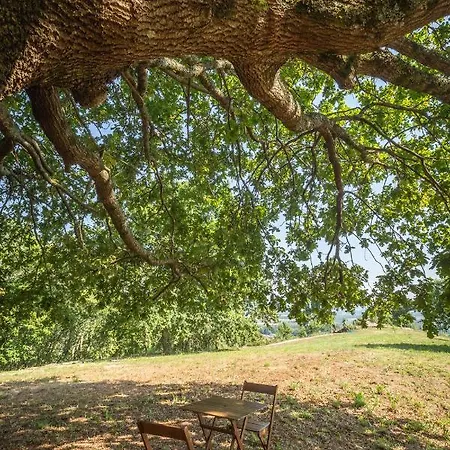 Casa Castel'rei Holiday home *