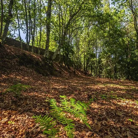 Casa Castel'rei * 귀마레스