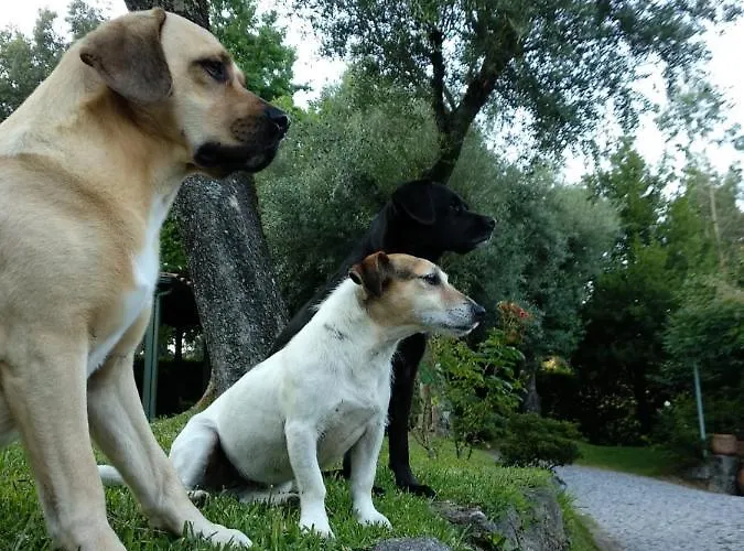 Casa Castel'rei Guimarães
